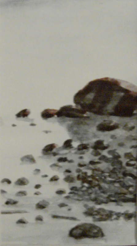 w Rocky Beach 6x12