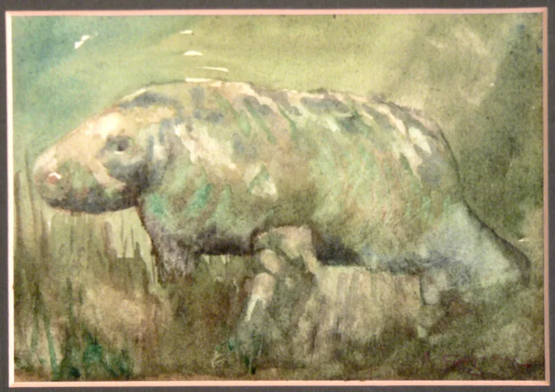 w Manatee 12x16