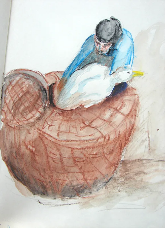 d sketchbook Ping  11x14