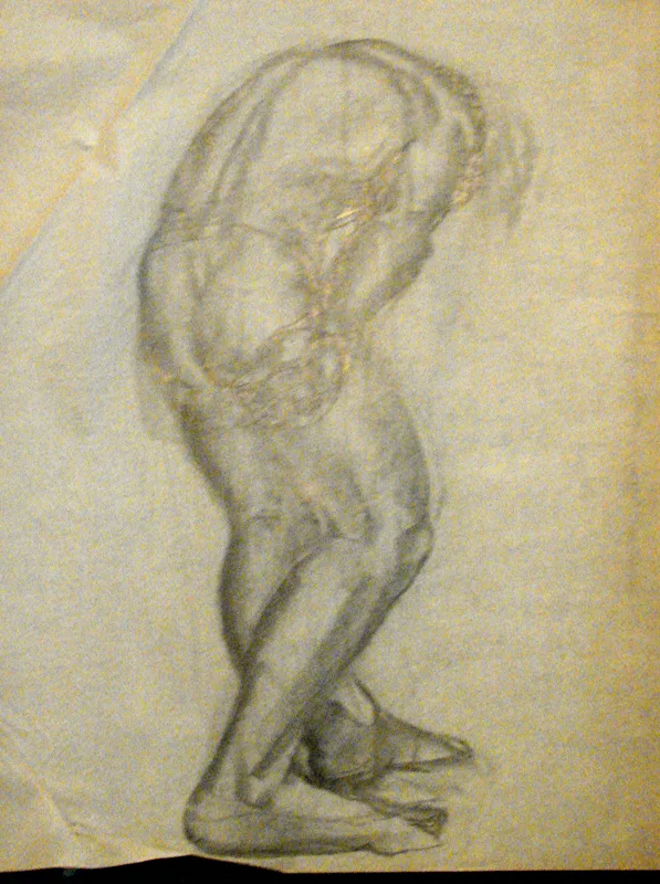 d figure drawing 4 18x24