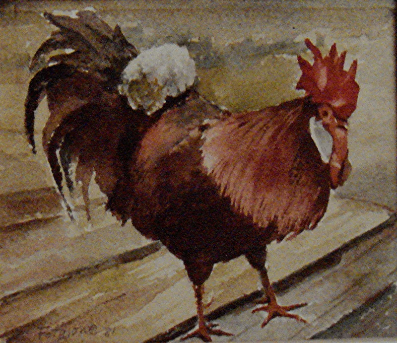 w Rooster 9x12