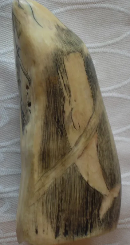 Ivory scrimshaw whale tooth 3 in.