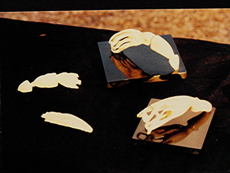 Ivory Squid whale teeth