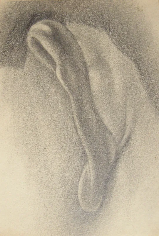 d artist's ear 2  pencil 5x8