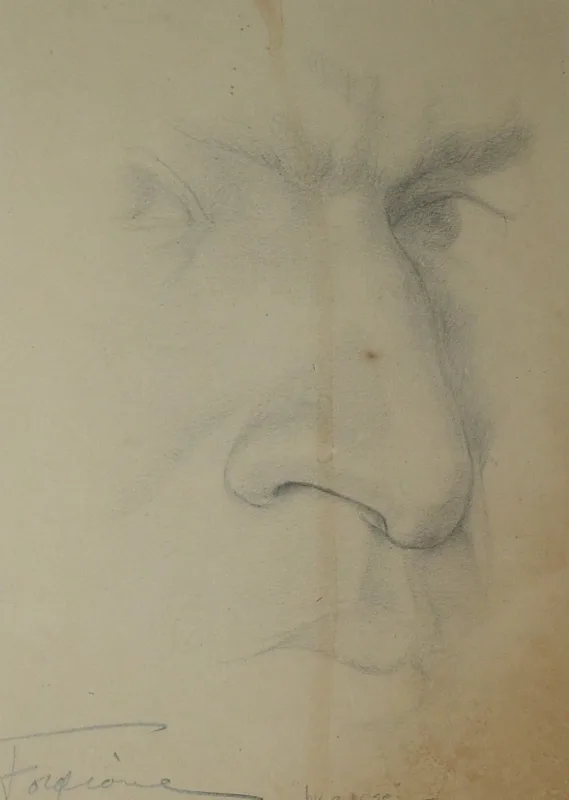 d artist's nose  pencil 8x10