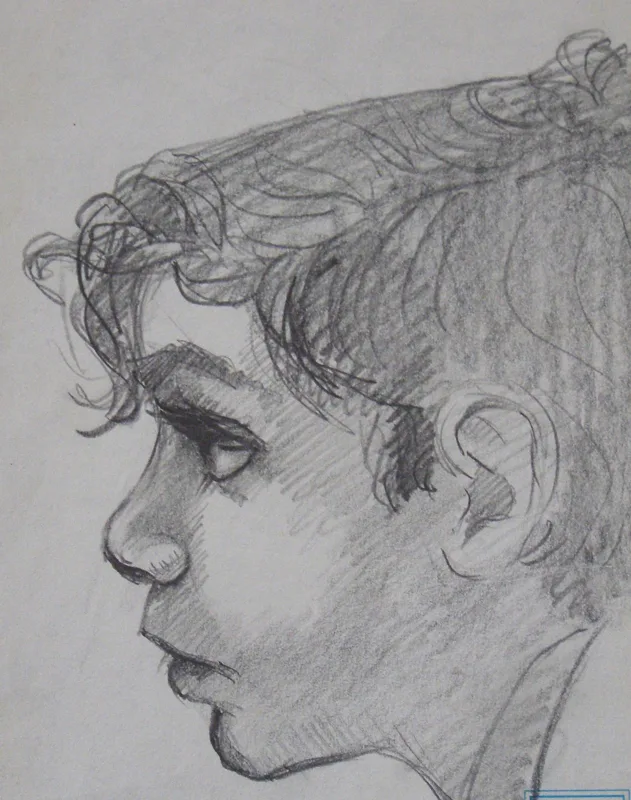 d Doug pencil 8x12