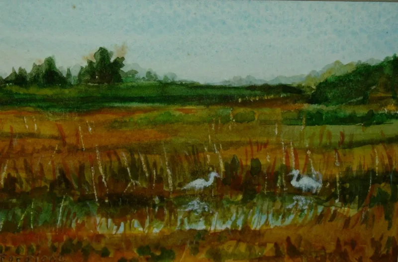 w Everglades 12x16