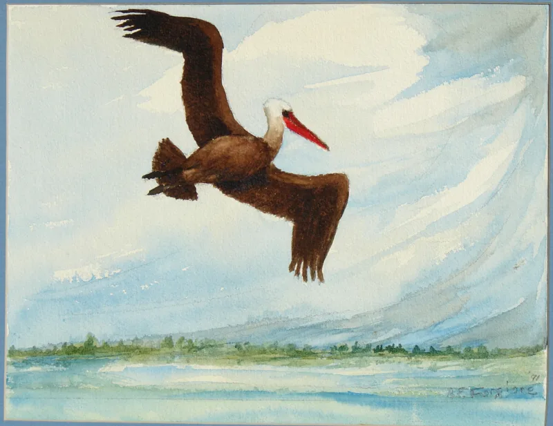w The Christmas Pelican p.17 11x14