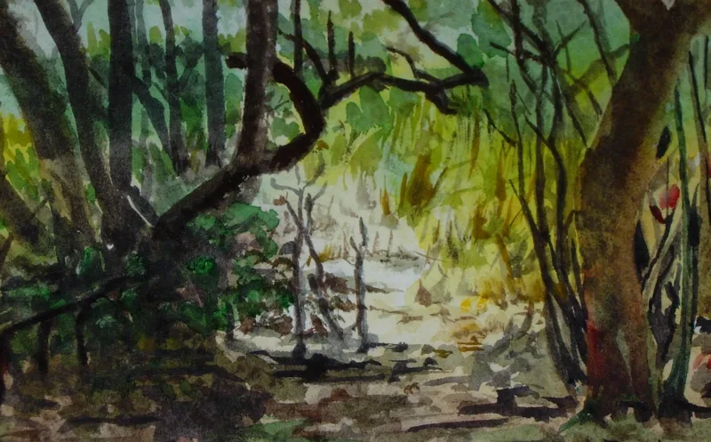 w Virginia Key, FL 9x12