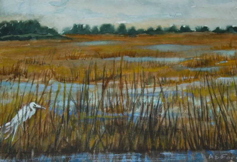 w Everglades, FL 12x16