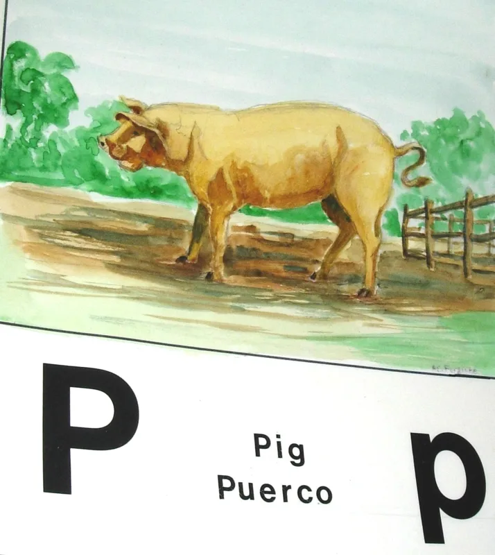 w alphabet p 11x14
