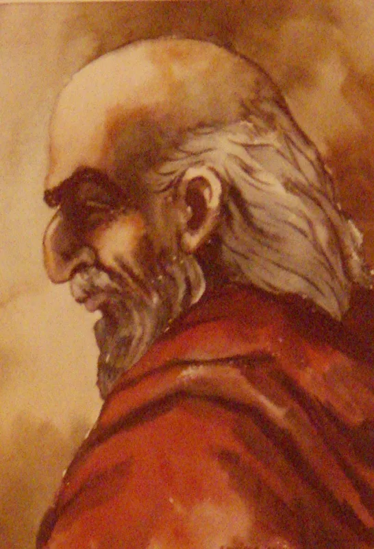 w Sage 10x16