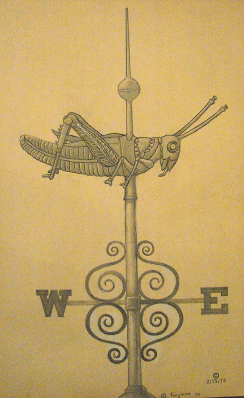 d grasshopper drawing 9x14