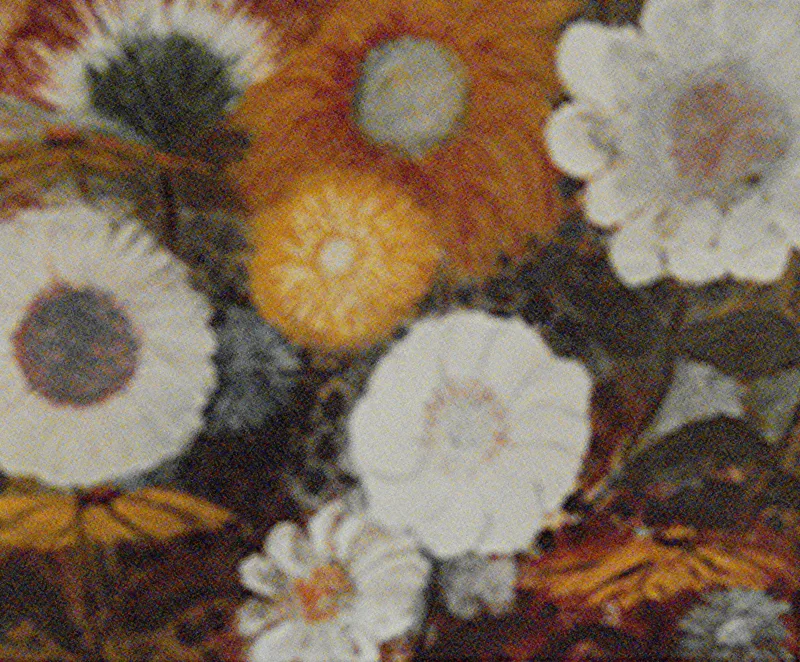 oil Flowers 20x24