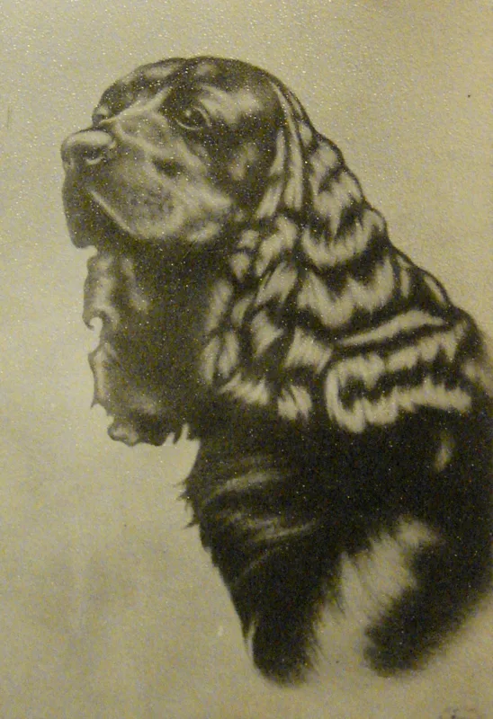 d Spaniel  10x14