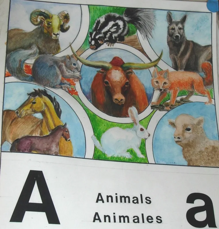 w alphabet a 11x14