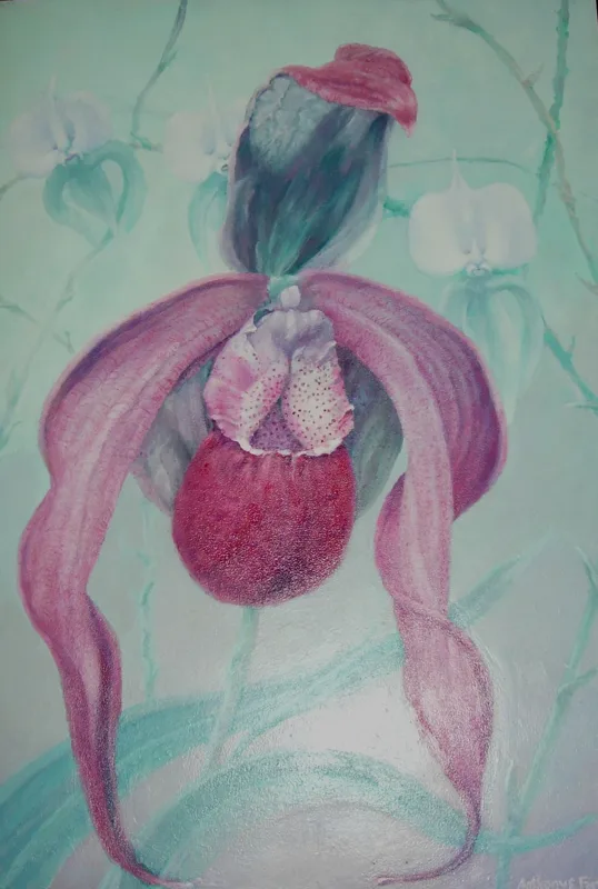 oil Paphiopedilum orchid 27x38 2005