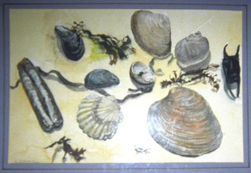 w Seashells 10x14
