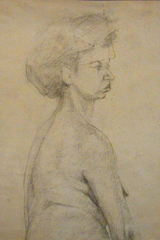 d nude 4 12x16