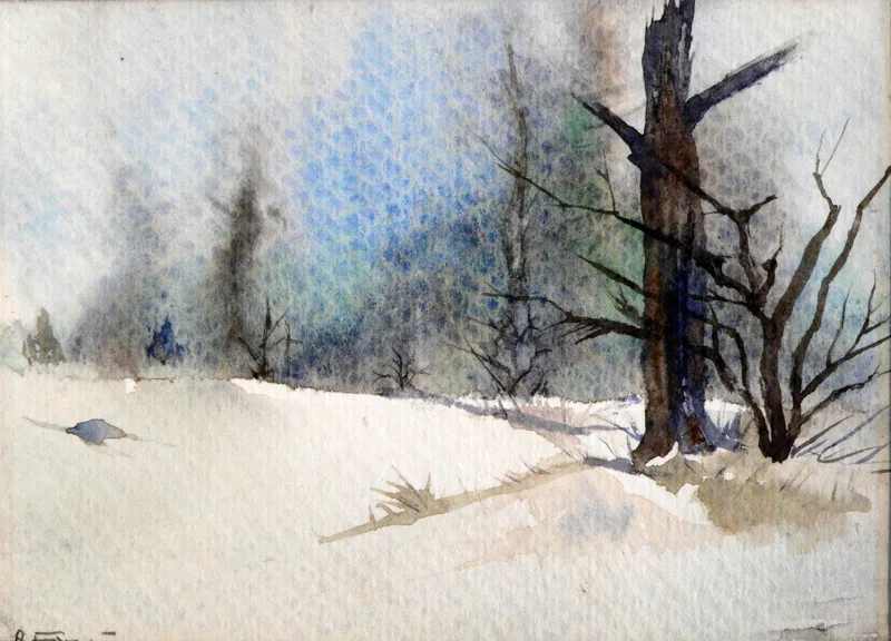 w Snow 11x14